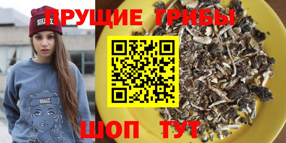 Кировск  Псилоцибиновые грибы мухоморы  где купить   Вход с VPN 